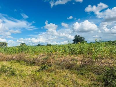 Kiwanja kinauzwa Kikombo, Dodoma