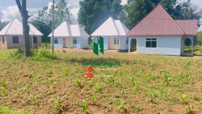 2 Bedrooms House for sale at Buswelu, Mwanza