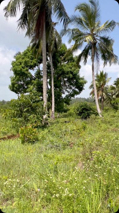 Farm for sale at Mkuranga, Pwani