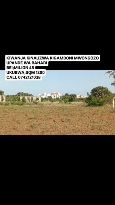 Plot for sale at Kigamboni, Dar Es Salaam