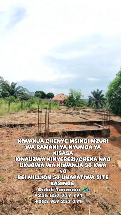 Kiwanja kinauzwa Msingi, Singida