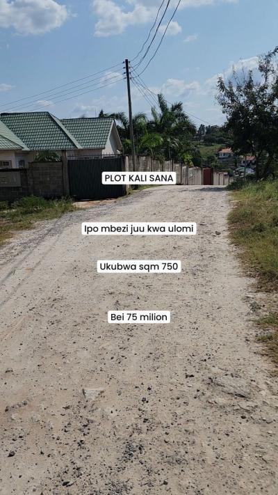 Plot for sale at Mbezi Juu, Dar Es Salaam