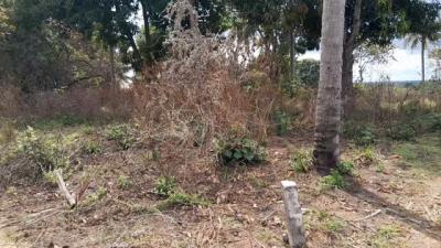 Farms for sale at Mbagala, Dar Es Salaam