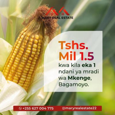 Farms for sale at Bagamoyo, Mbeya