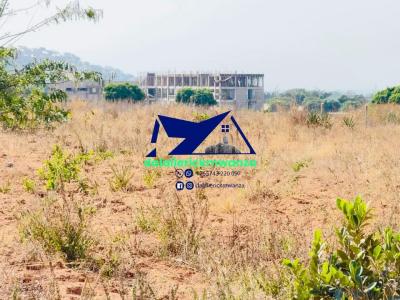 Plot for sale at Kiseke, Mwanza