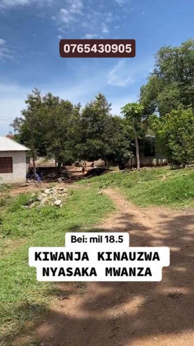 Kiwanja kinauzwa Nyasaka, Mwanza