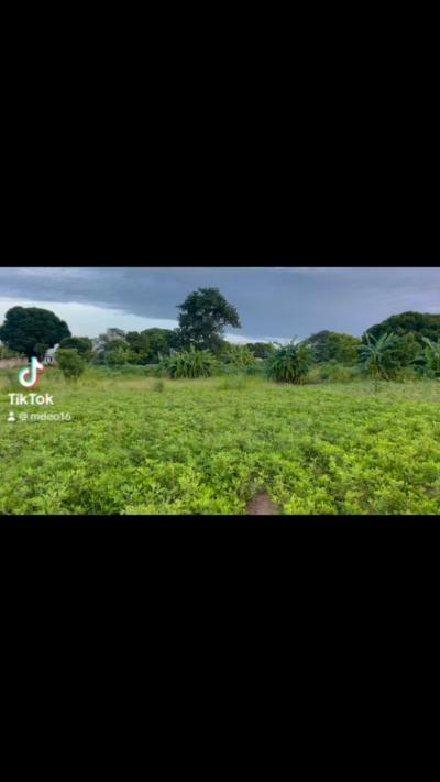 Plots for sale at Mbutu, Tabora