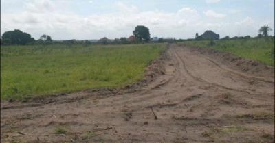 Plots for sale at Kigamboni, Dar Es Salaam