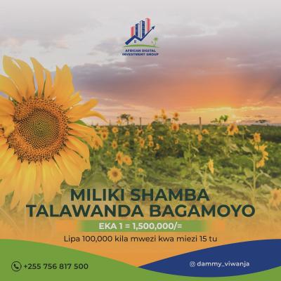 Plots for sale at Talawanda, Pwani