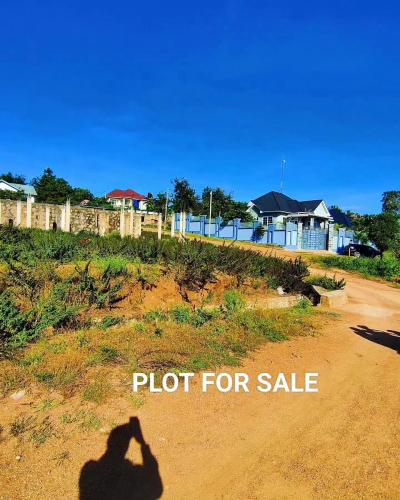 Plots for sale at Nyasaka, Mwanza