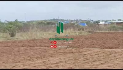 Plot for sale at Mtumba, Dodoma