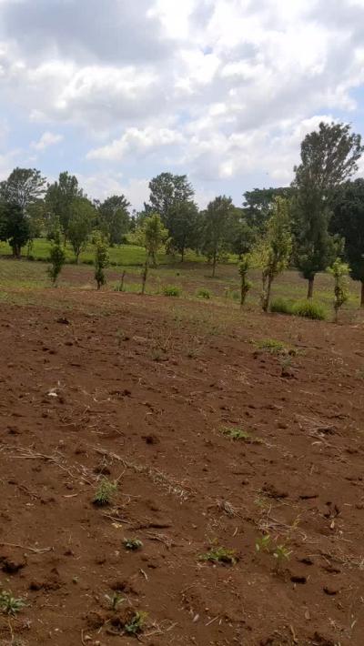 Shamba linauzwa Kilimanjaro, Kilimanjaro