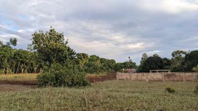 Farm for sale at Kilimanjaro, Kilimanjaro