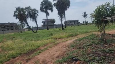 Plots for sale at Kigamboni, Dar Es Salaam