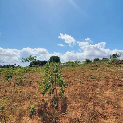 Plots for sale at Tabata, Dar Es Salaam