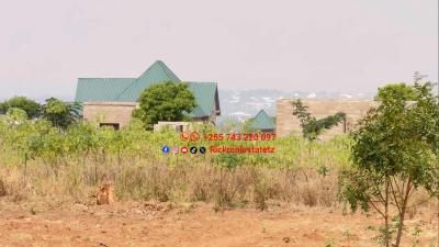 Plots for sale at Kisesa, Mwanza