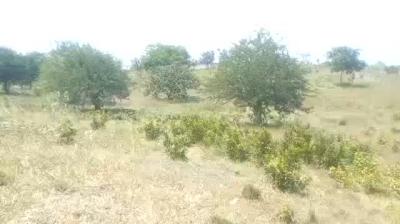 Plot for sale at Kiluvya, Pwani