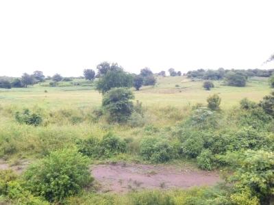 Farms for sale at Mbwewe, Pwani