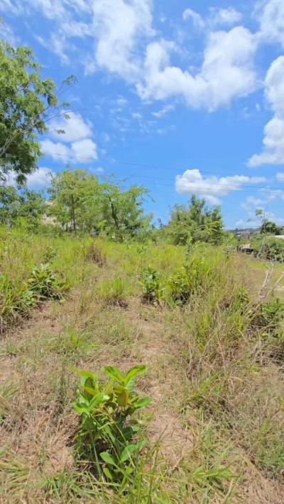 Plot for sale at Makongo, Dar Es Salaam