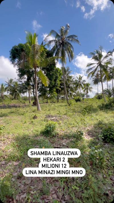 Shamba linauzwa Mkuranga, Pwani