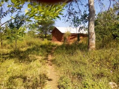 Farms for sale at Mbwewe, Pwani