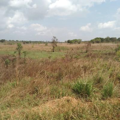 Plot for sale at Njia Panda, Kilimanjaro