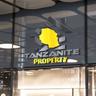 Tanzanite Property LIMITED