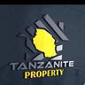 Tanzanite Property