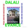 dalali.evance